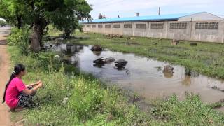 preview picture of video 'Trilogie: Jugendliche in Kampong Cham, Kambodscha, 1. Teil: Lida's Leben (HD 1080p)'