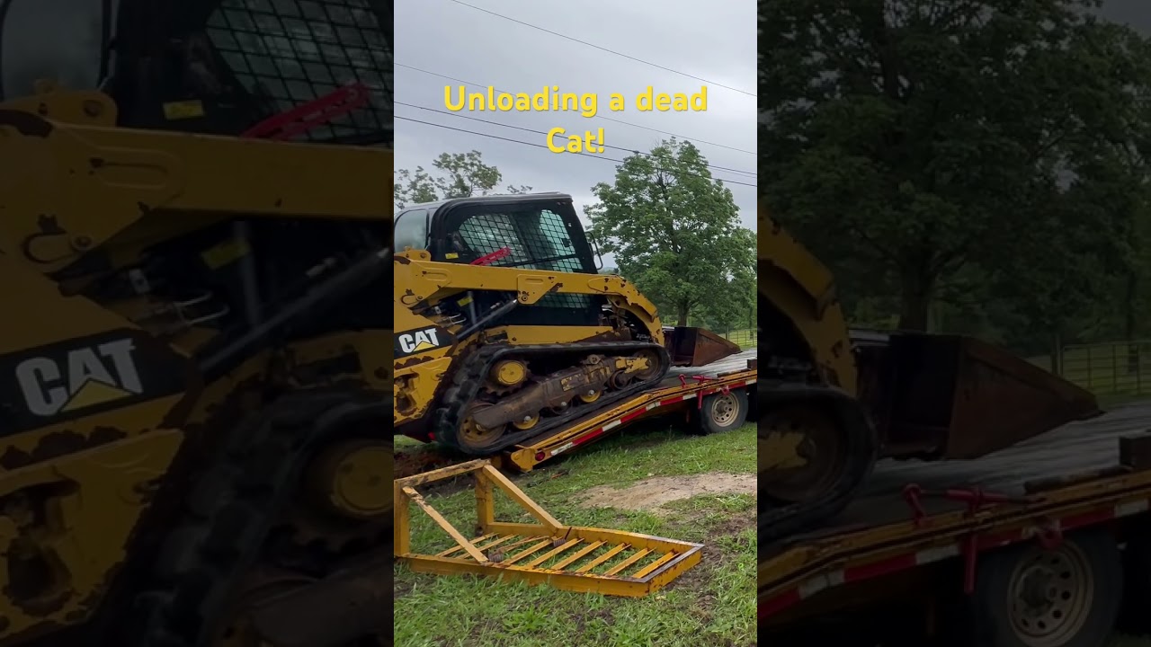 Unloading a dead Cat. #cat #caterpillar #skidsteer #259d