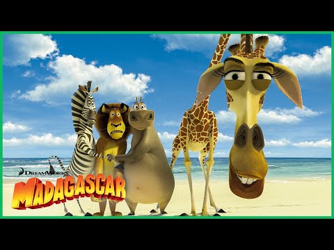 Conheça a Turma! 🦁 | DreamWorks Madagascar em Português
