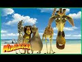 Conheça A Turma DreamWorks Madagascar Em Português