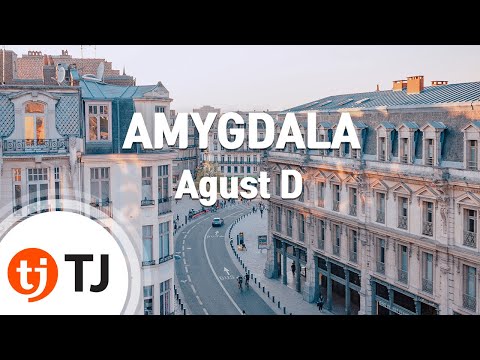 [TJ노래방] AMYGDALA - Agust D / TJ Karaoke