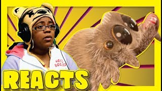 Lucas The Spider Don't Eat Me | Animation Reaction