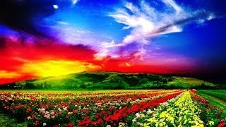 Sunny Day by Paul Simon