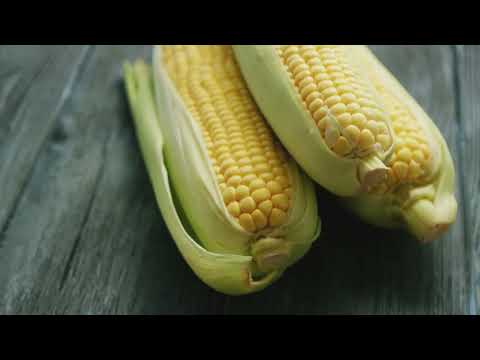 Top 6 Crops to Grow at Home for Food Security