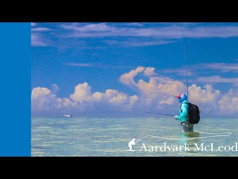 Join The Adventure - One Minute Monday