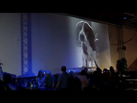 Youtube Video HiHlnvnKSJU