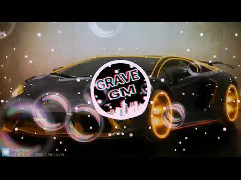 Mc Levin e Vitinho Polêmico-Pincelada (Caio Gravee)