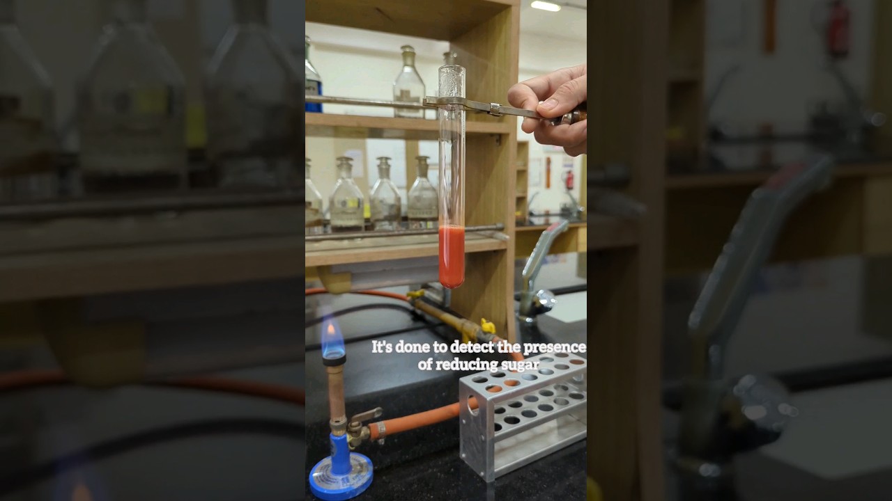 Benedict's Test For Reducing Sugar In The Urine || Benedict's Test For Glucose #biochemistry