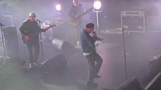 The Twang | Twit Twoo