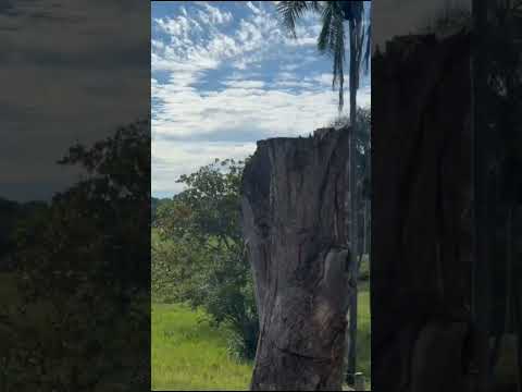 62-9-8305-7960 - FAZENDA 18 ALQUEIRES, NOVO BRASIL-GO