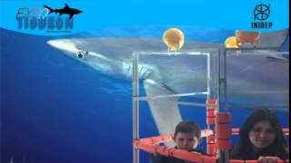 DIA 3 Expo Tiburon162