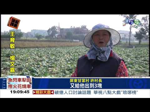 高麗菜崩盤! 產地價1顆3元
