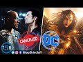 Top 5 Cancelled DC Movies We Never Got To See || DC की ये फिल्में अब नहीं देखन