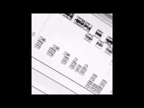 Darkiel / J Alvarez ( ??? ) Preview - 2020