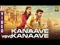 Ambikapathy - Kanaave Kanaave Video Tamil | Dhanush | A. R. Rahman