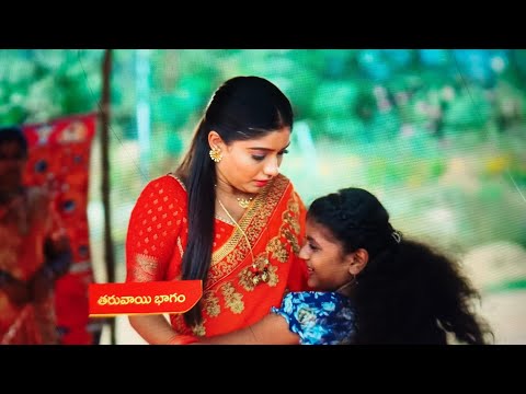 Ninnu kori serial today latest promo