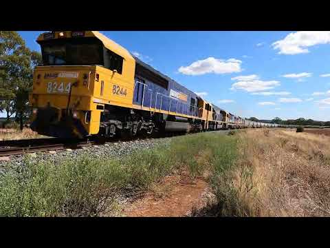 8244, 8208, 8152 & 8148 McIntyre's Reserve NSW.  Thu 23rd Feb 2023