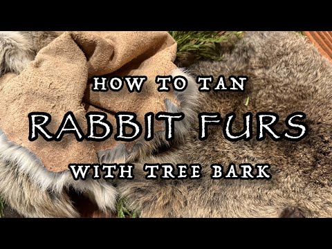 Ultimate Guide to Bark Tanning Rabbit Furs