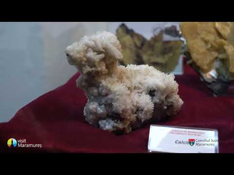 Ruta muzee și Case memoriale.