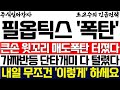 필옵틱스 주가 조교수 큰손 윗꼬리 매도폭탄 터졌다 가짜반등 단타개미 다 털렸다 내일 무조건 이렇게 하세요