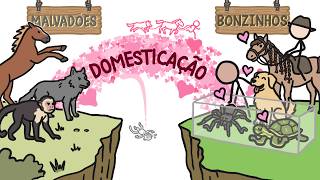 Por que os macacos nunca foram domesticados?