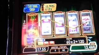 WOZ Yellow Brick Road bonus   GREAT WIN!