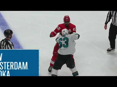 NHL  Jan.11/2022  Detroit Red Wings - San Jose Sharks