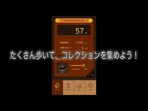 The Walking Collector Video