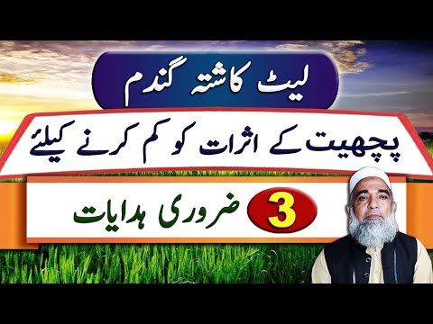 How to improve yield of Late sown wheat crop || Crop Reformer