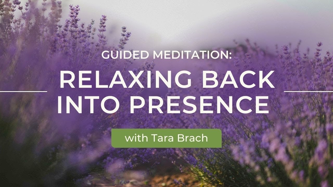 Relaxing Back into Presence | A Guided Meditation with Tara Brach