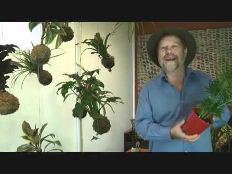 Part of a video titled How to make a String Garden - YouTube