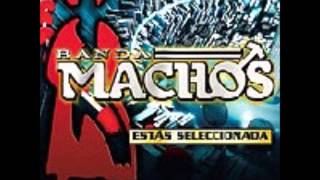 banda machos mi otro yo.wmv