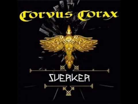 Corvus Corax   Havfrue