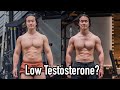 Did Crash Dieting Ruin My Hormones? Fat Loss & Testosterone | MY BLOOD TEST ANALYSIS