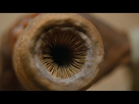 Dune - Little Sandworm  - How to get Water of Life