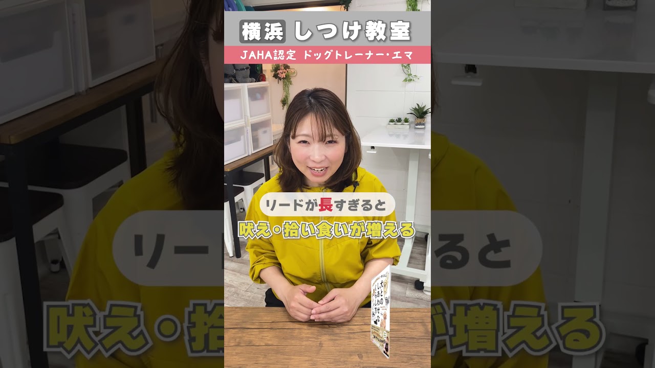 【犬との生活で必要な５つの知識】②環境づくり #横浜しつけ教室#犬しつけ #犬とのしあわせなくらし方