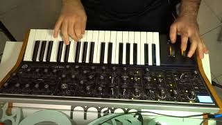 Thing of Gold - Snarky Puppy - Moog solo