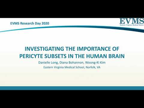 Thumbnail image of video presentation for Investigating the importance of pericyte subsets in the human brain