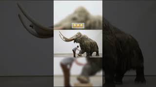 Extinct animals scientists are trying to bring back