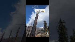 Download lagu Working at woods ! Laughing Time! Music: My Original Laughing by Gianluca Marino mp3