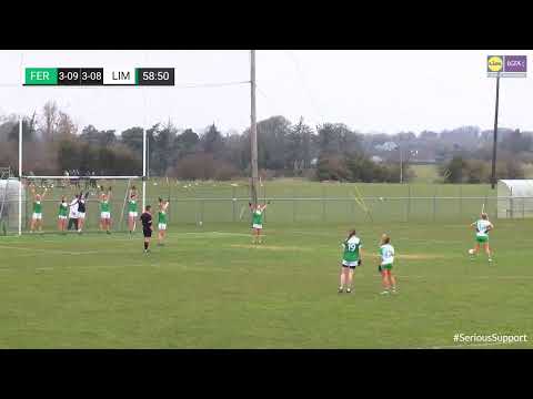 Highlights of Limerick v Fermanagh