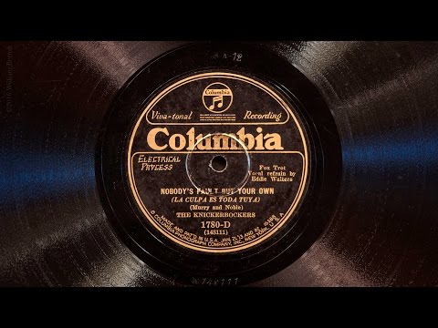 Nobody's Fault But Your Own • The Knickerbockers (Victrola Credenza)