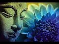 Flower Images Flowers Images 1080p Rose Jasmine Lotus Mogra Animalgeographic Hd Flowers Flowers