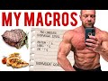 Pro Comeback - Day 15 - HUGE CHEST PUMP - My Home Gym is GONE - MY CURRENT MACROS!