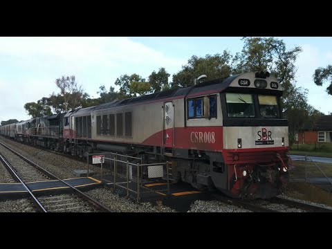 CSR008 + SCT005 + CSR006