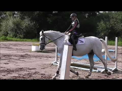 CYRILL 14j. v. Cola - Cardino VB 15.000,- Euro