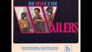 Peter Tosh - Can&#39;t You See (1970)