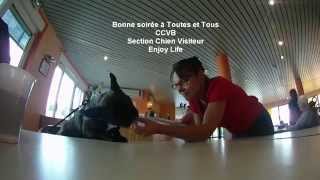 preview picture of video 'CCVB - Section Chien Visiteur .'