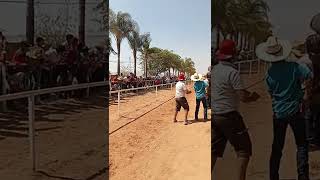 la gran yegua la Soraya