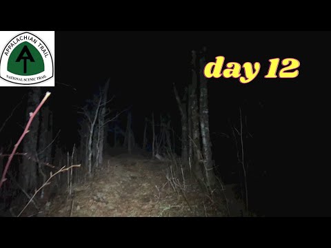 Nyx- my AT trail name✨Clingmans Dome 25+miles, exhausted from the climbs!! ✨ AT 2023 day 12